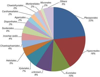 A Survey of Culturable Fungal Endophytes From Festuca rubra subsp. pruinosa, a Grass From Marine Cliffs, Reveals a Core Microbiome